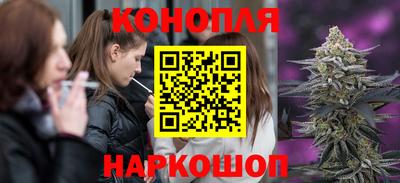 крисы Кимры