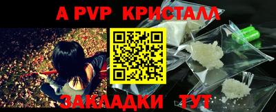 крисы Кимры